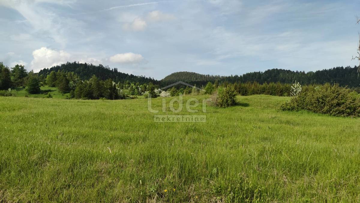 FUŽINE Zemljište-šuma od 22.378 m2 s prilazom – 3