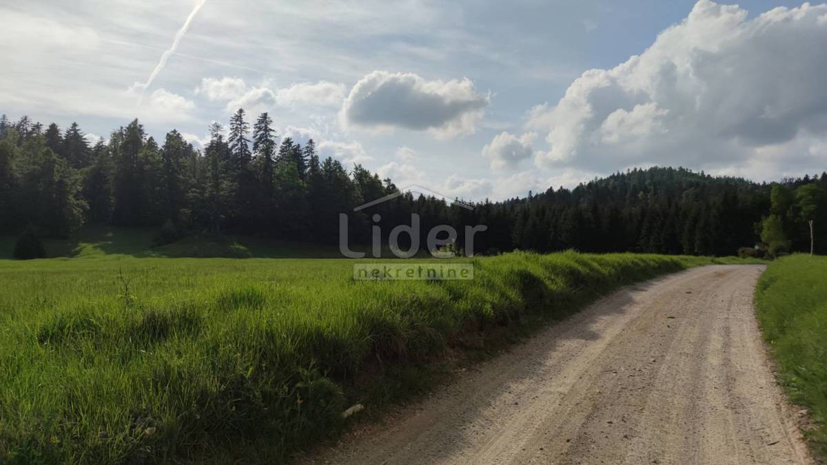 FUŽINE Zemljište-šuma od 22.378 m2 s prilazom – 2