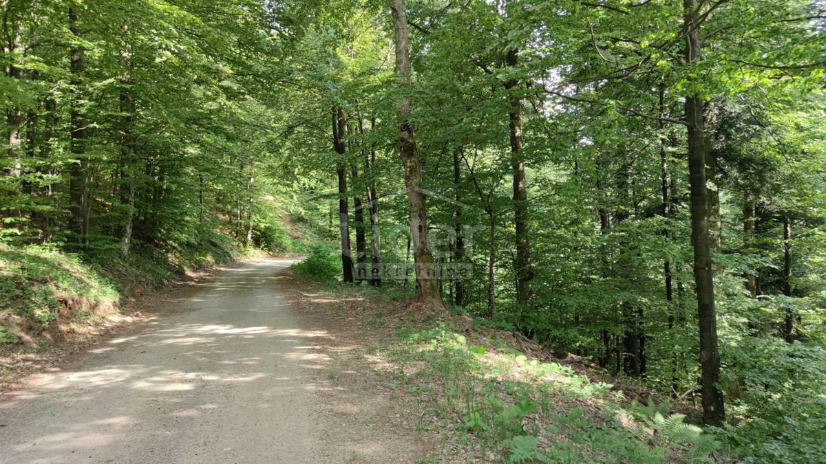 FUŽINE