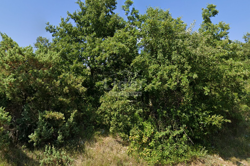 SMOLJANCI