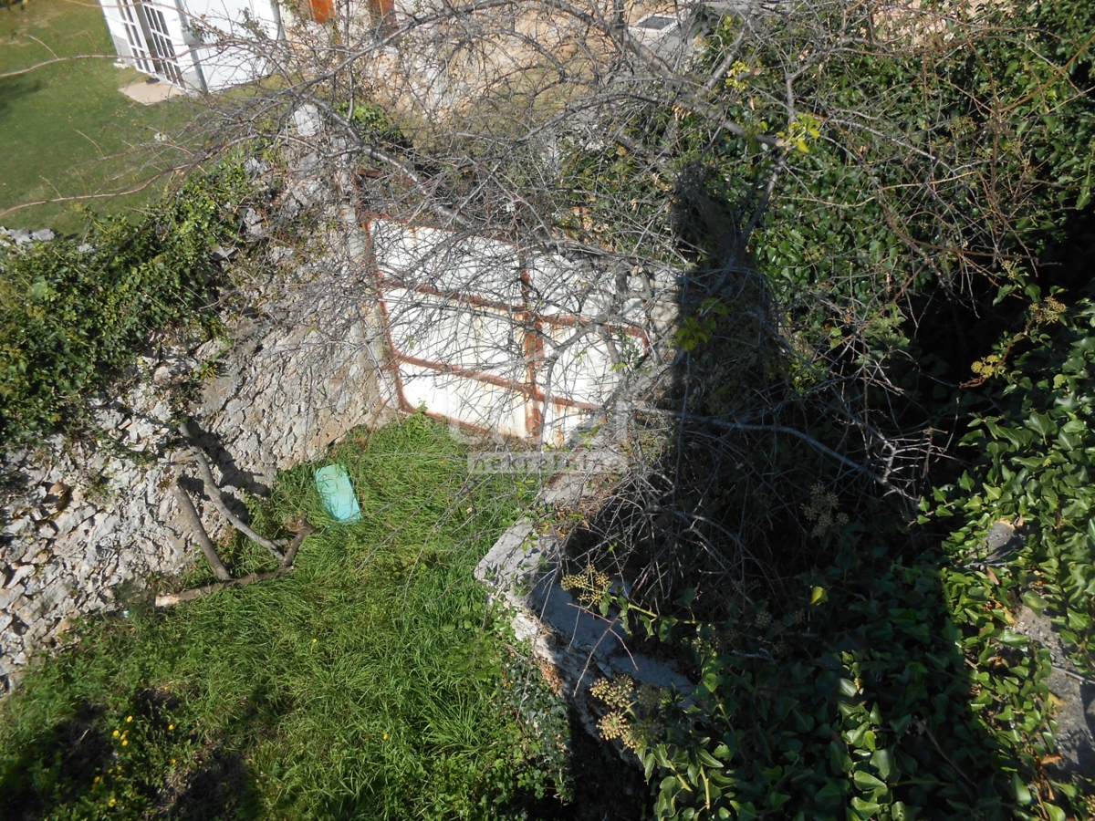 GRIŽANE