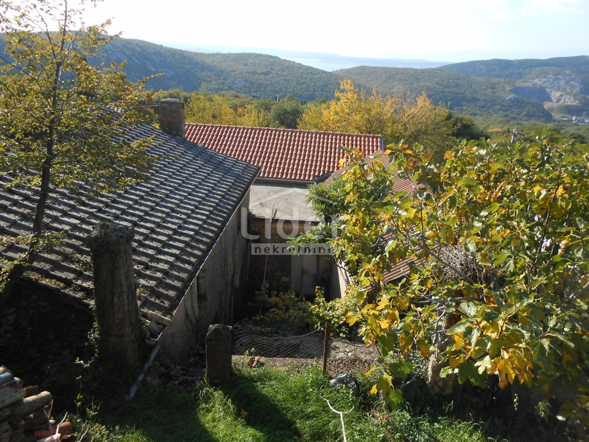 GRIŽANE
