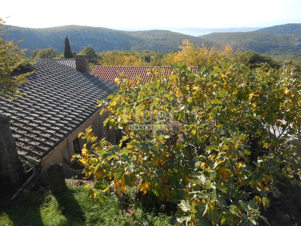 GRIŽANE