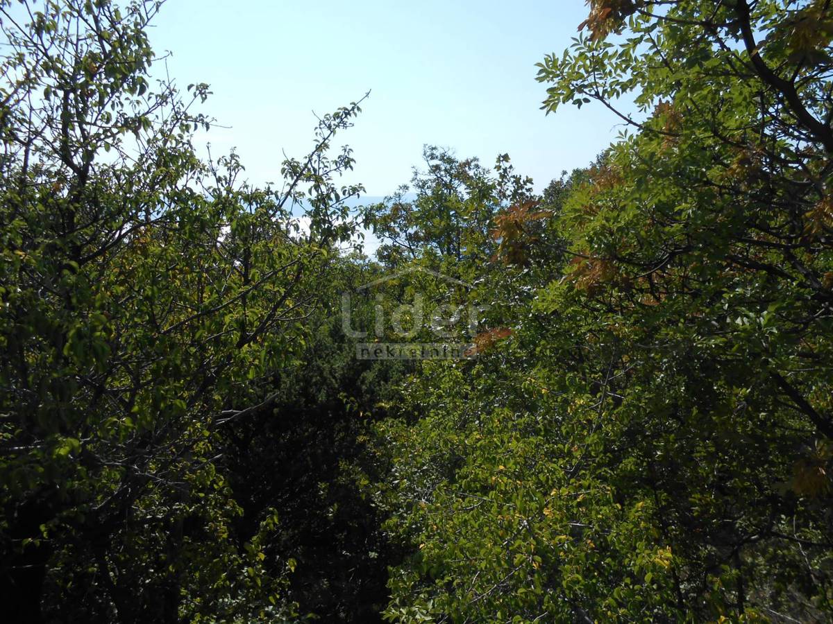 KLENOVICA