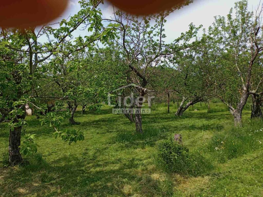BOLJUNSKO POLJE