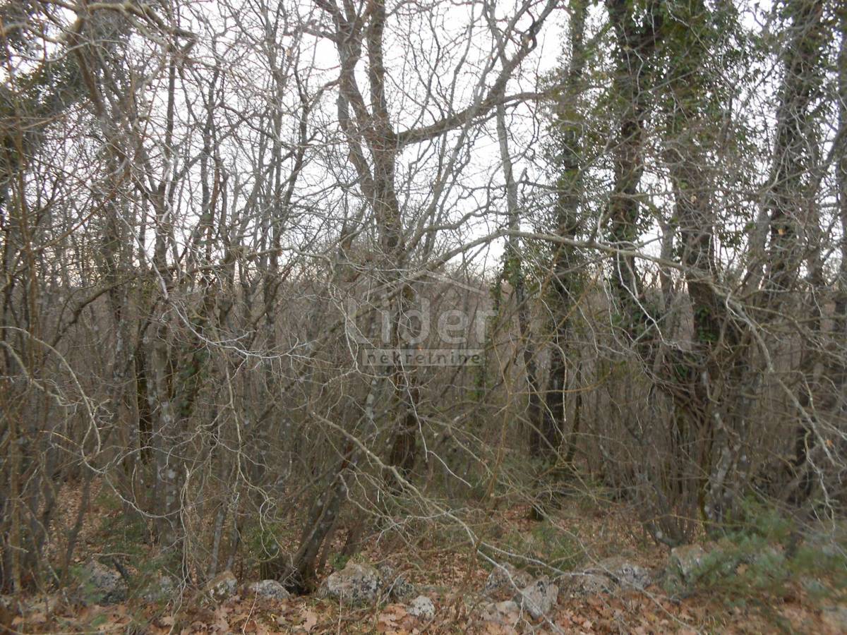 SUŽAN