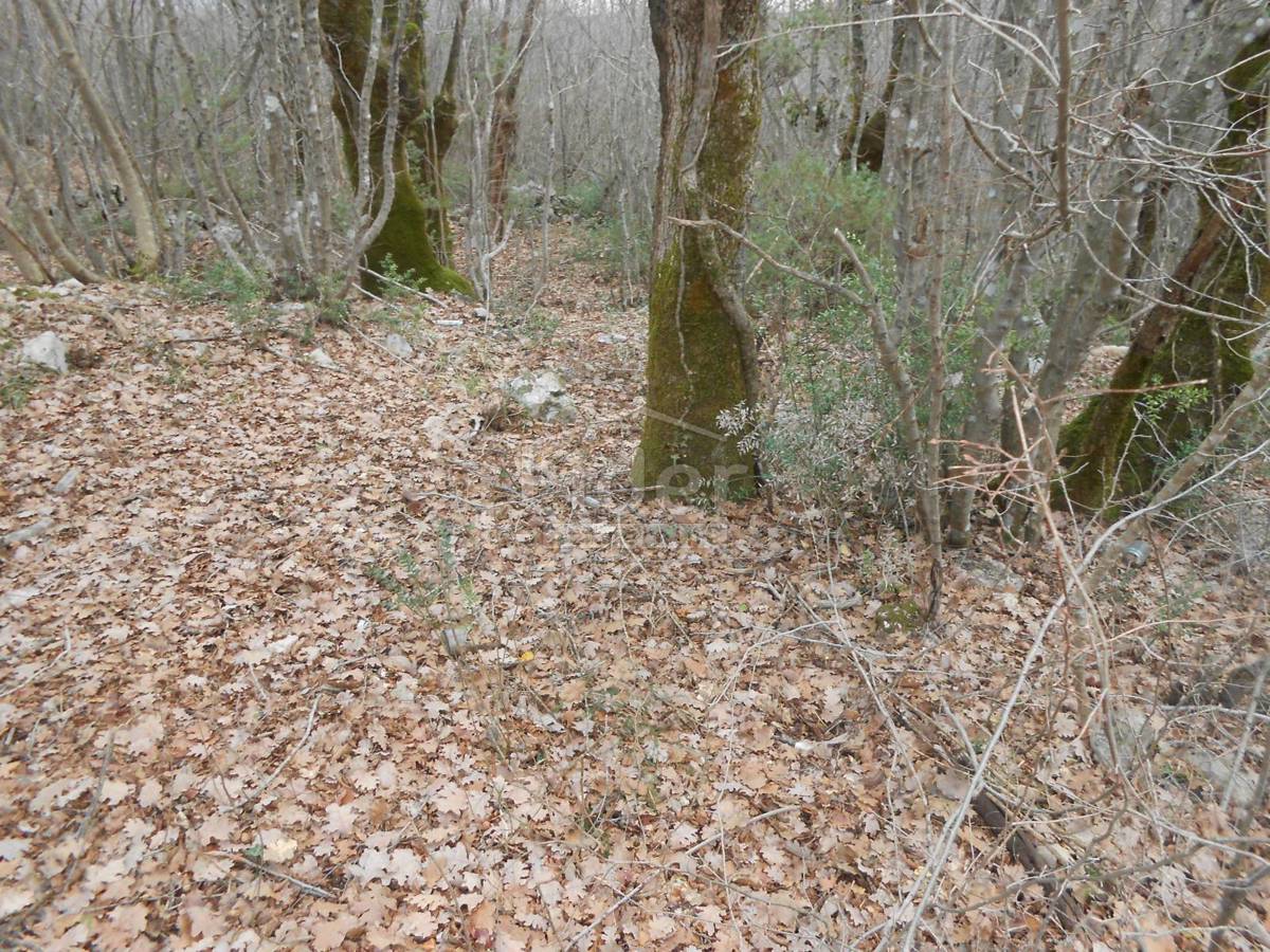 SUŽAN