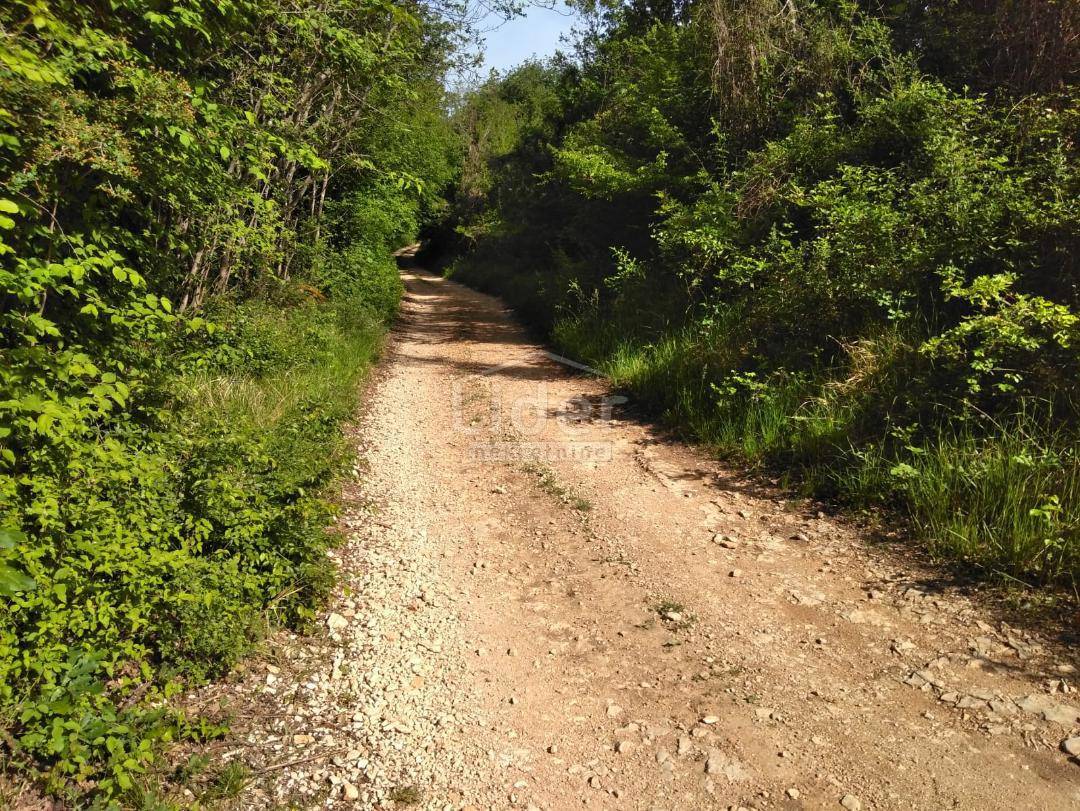 ZORIČIĆI