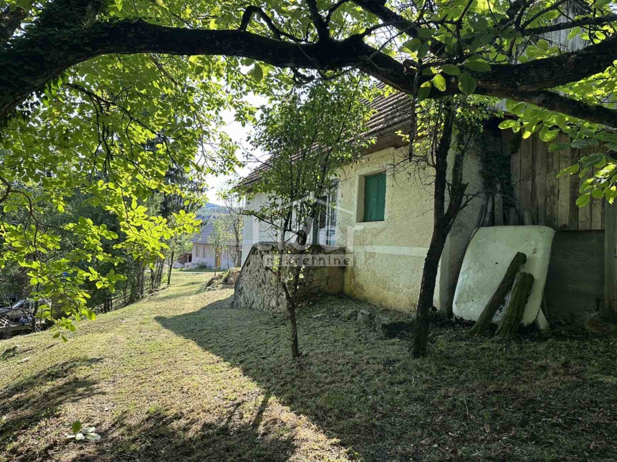 VELIKI JADRČ