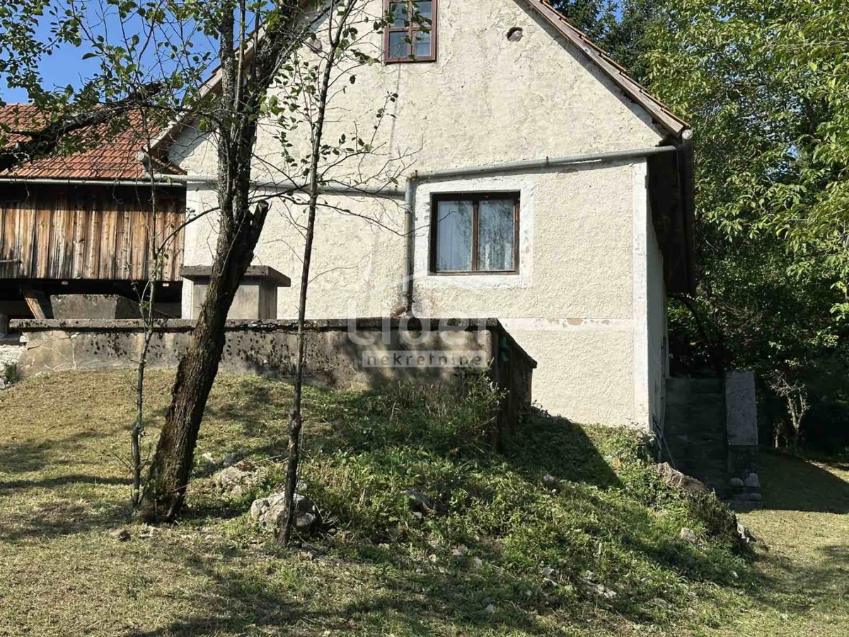 VELIKI JADRČ