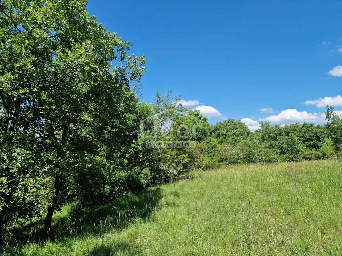STRANIĆI KOD LOVREČA