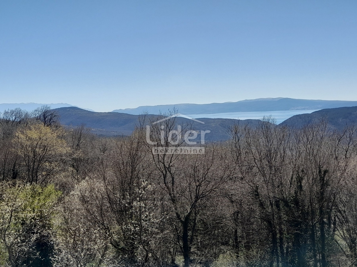 GRIŽANE