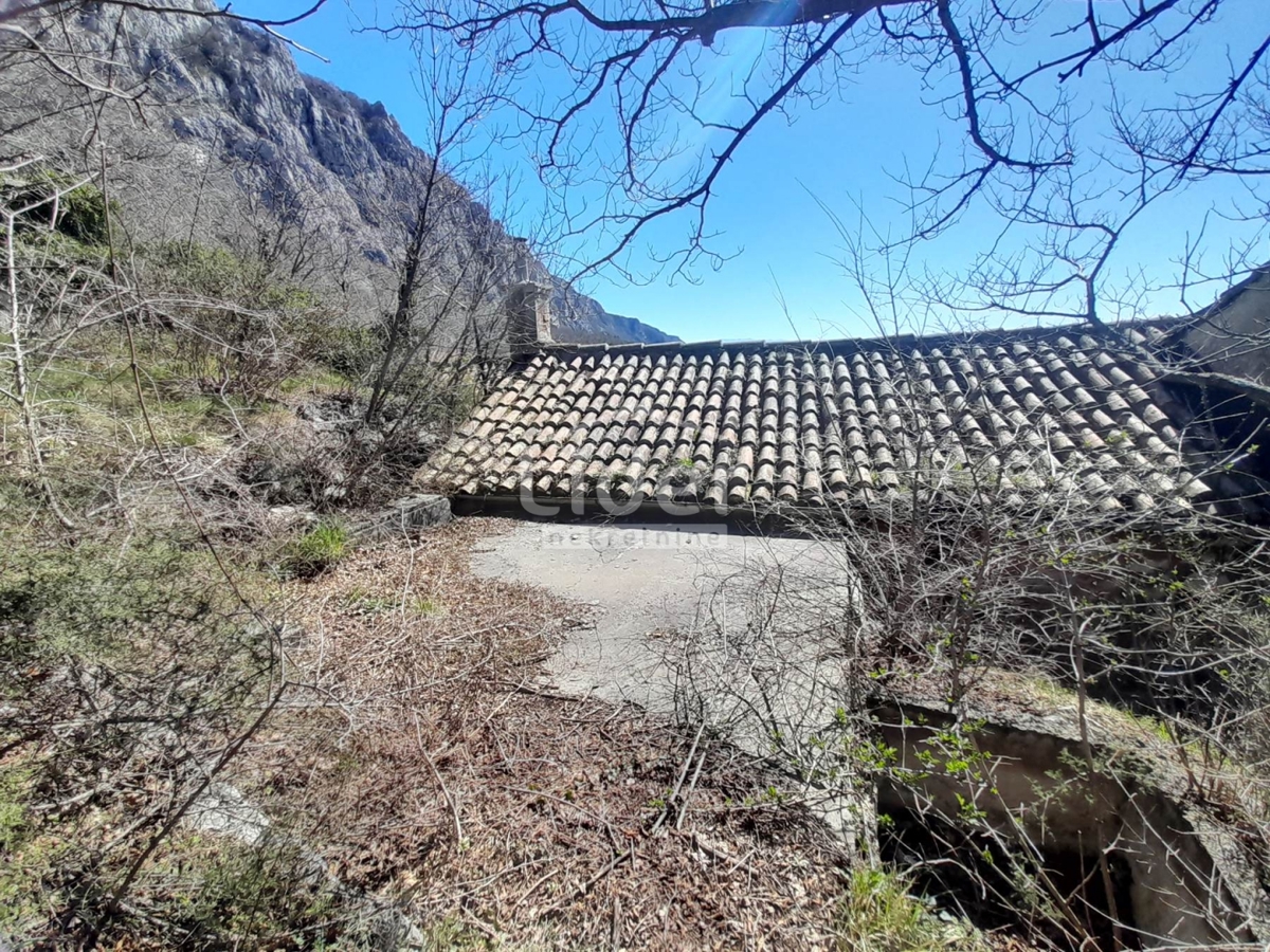 GRIŽANE
