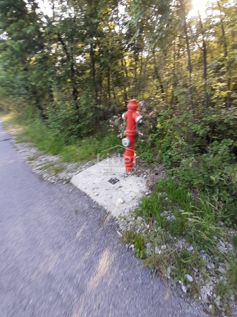 MARČELJI