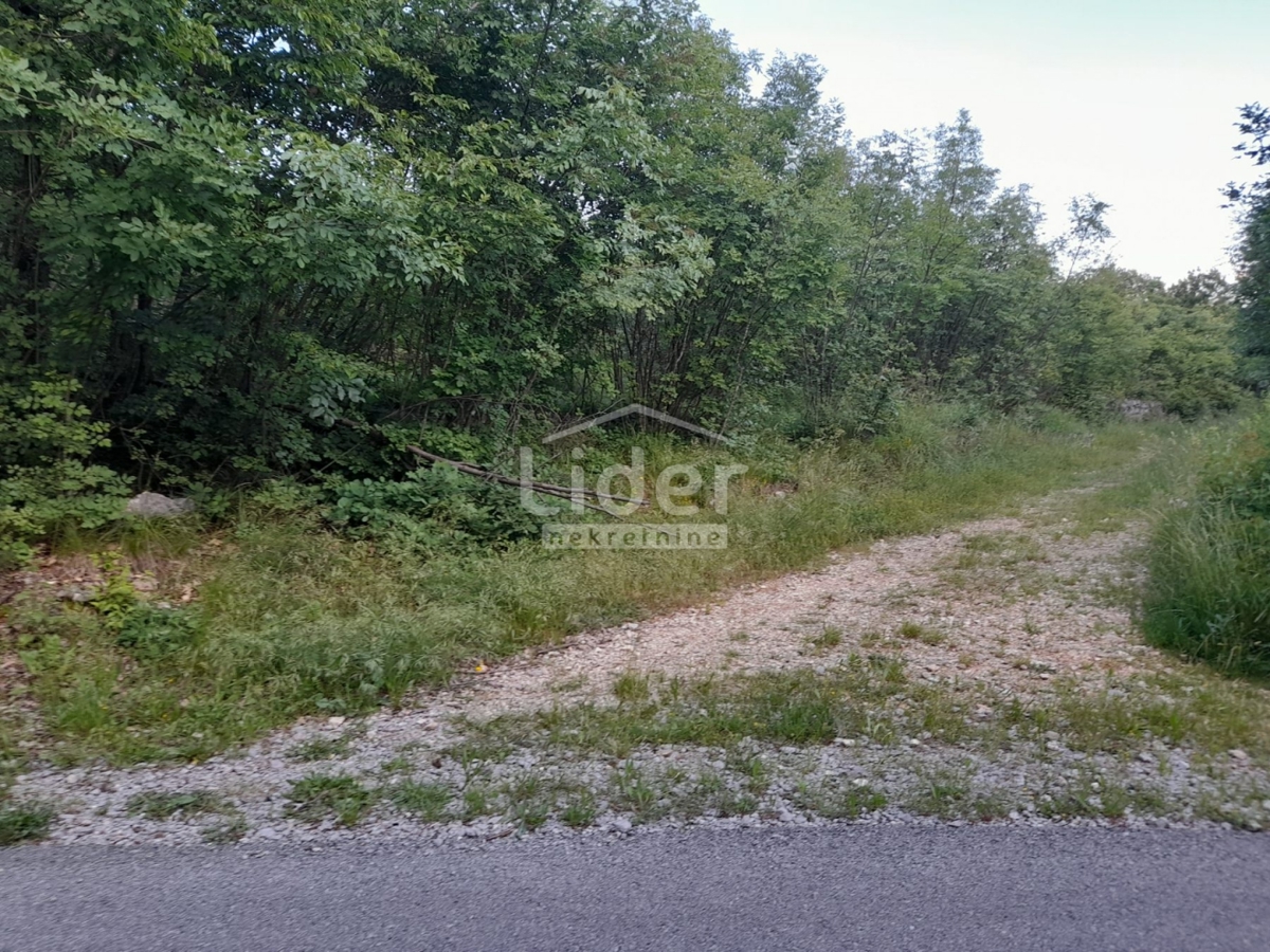 MARČELJI