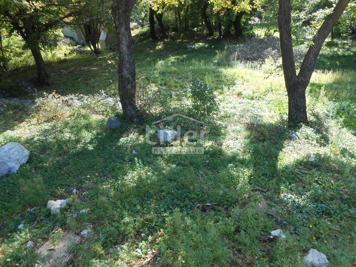 GRIŽANE