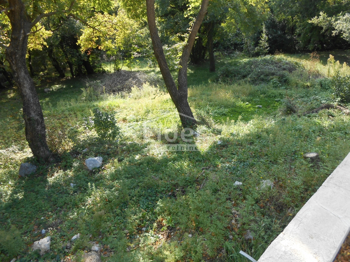 GRIŽANE