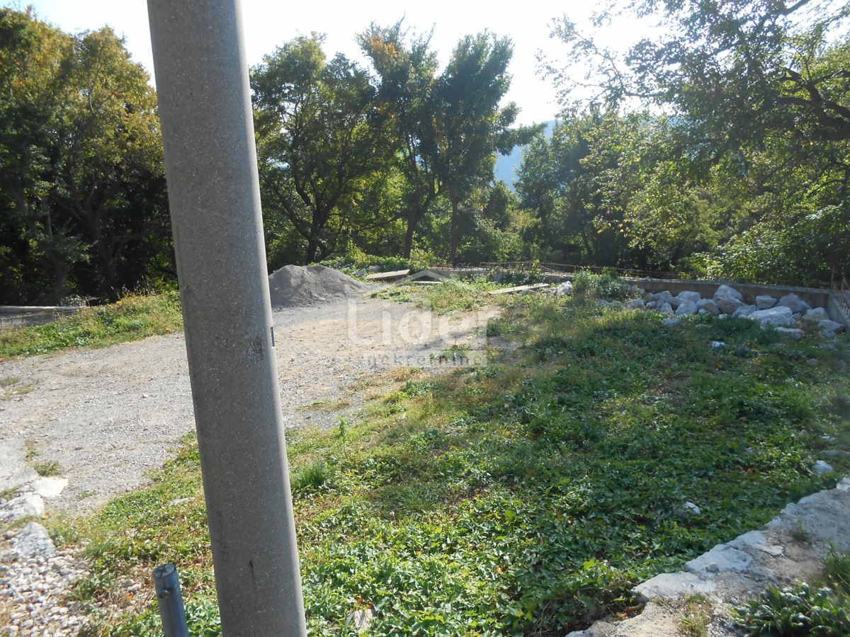 GRIŽANE