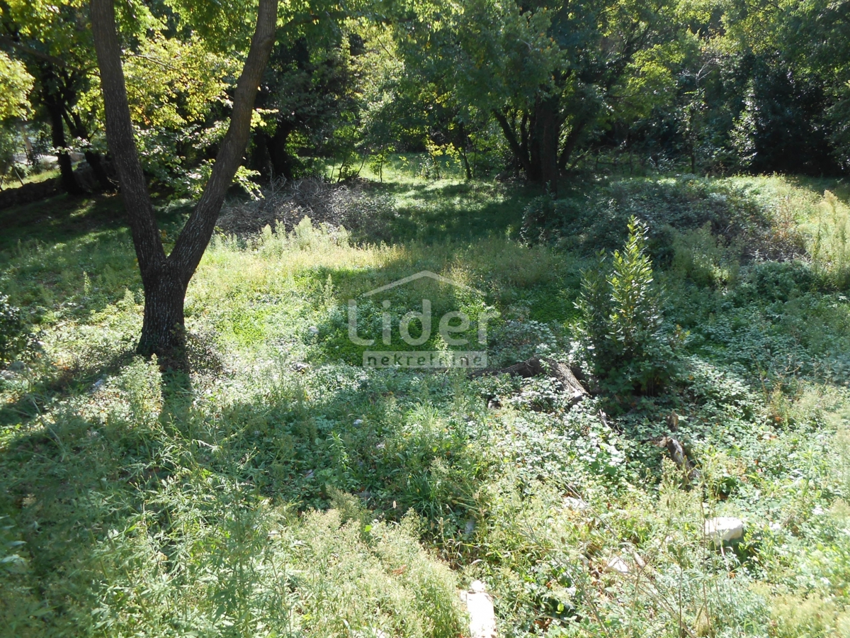 GRIŽANE