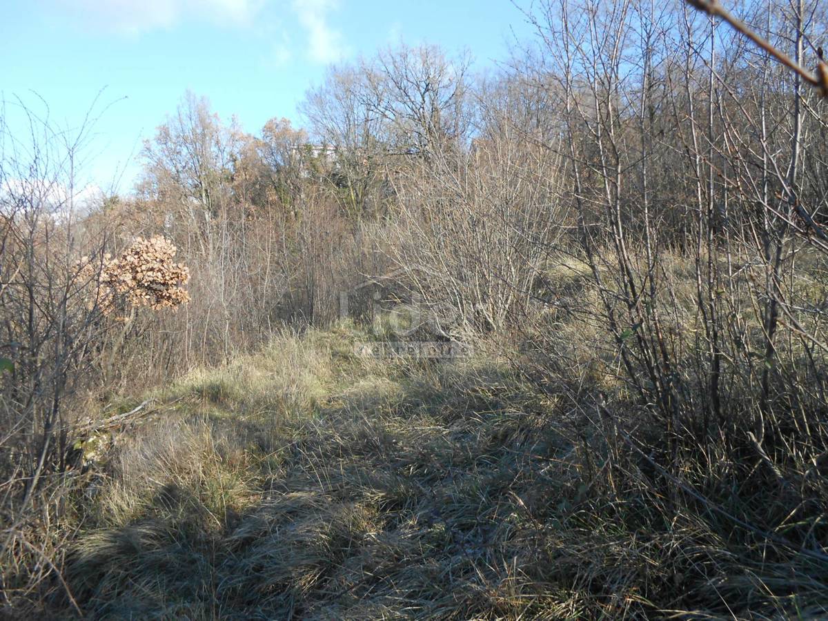 CERNIK