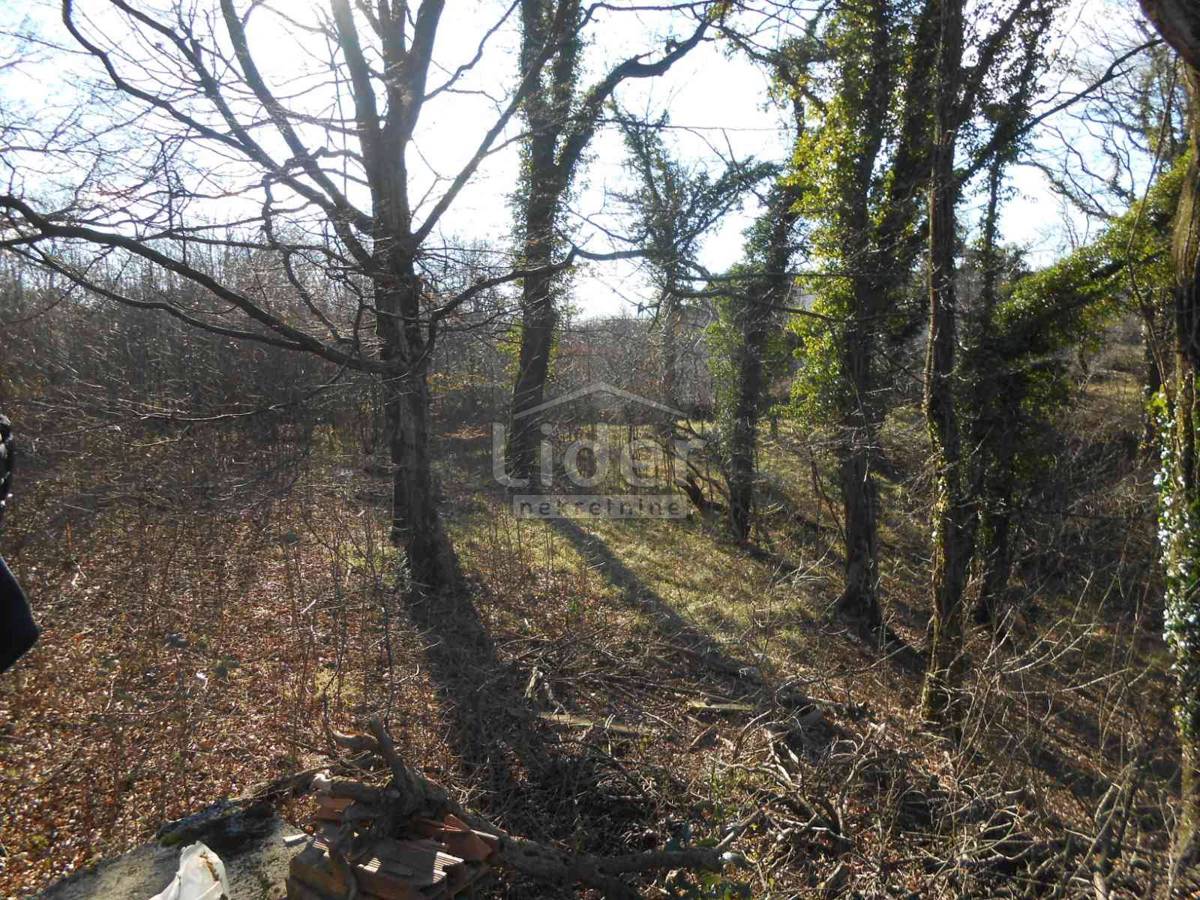 Čavle - Cernik, građevinsko zemljište 1724 m2 – 2