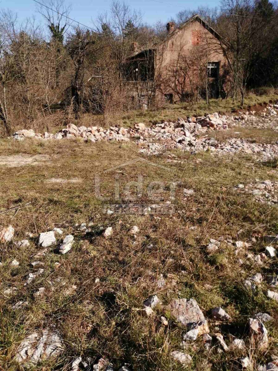 ČAVLE