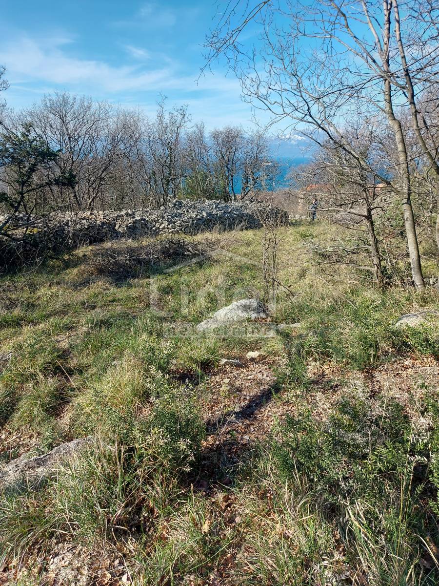 PLEŠIĆI