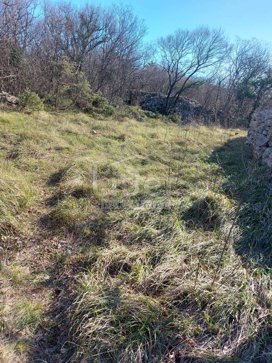 PLEŠIĆI