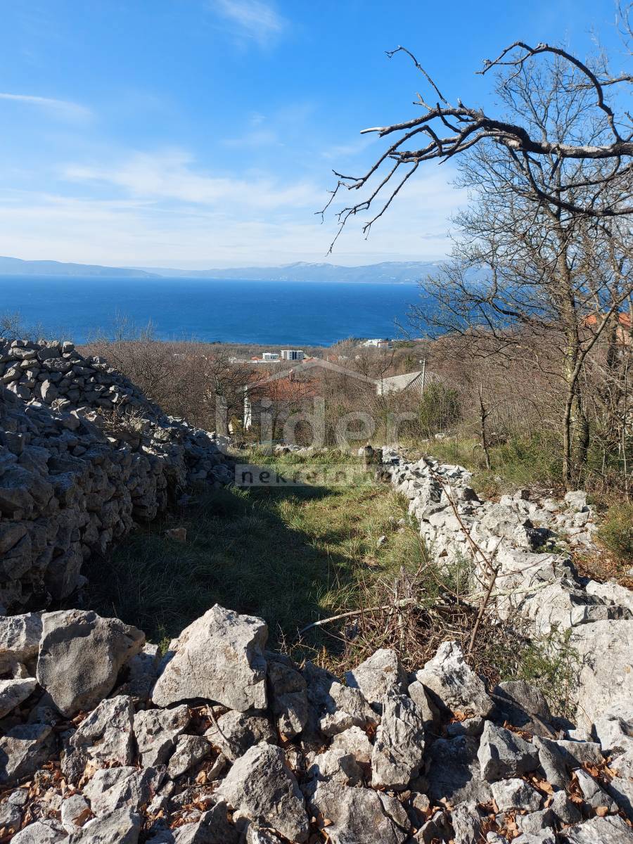 PLEŠIĆI
