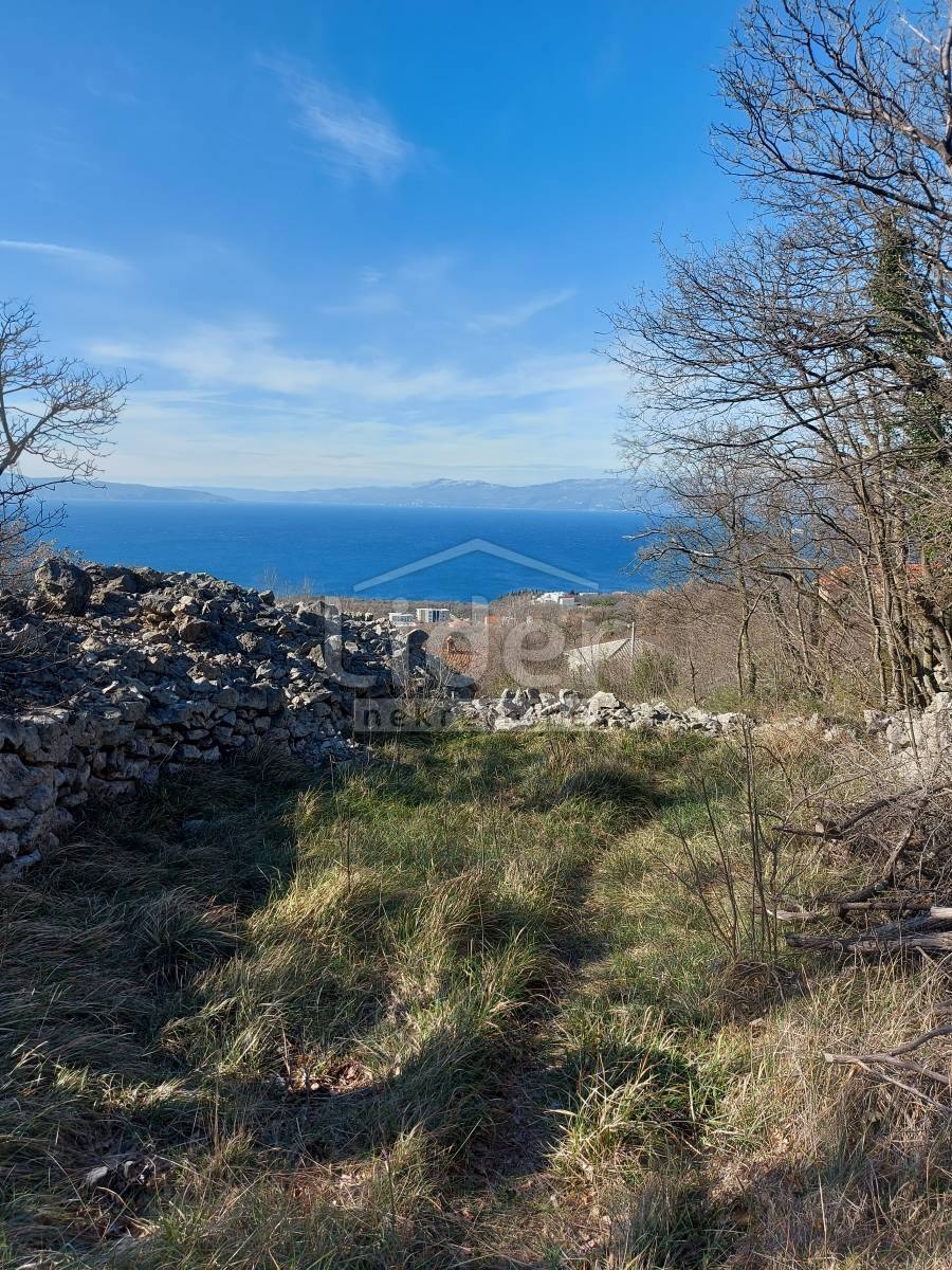PLEŠIĆI