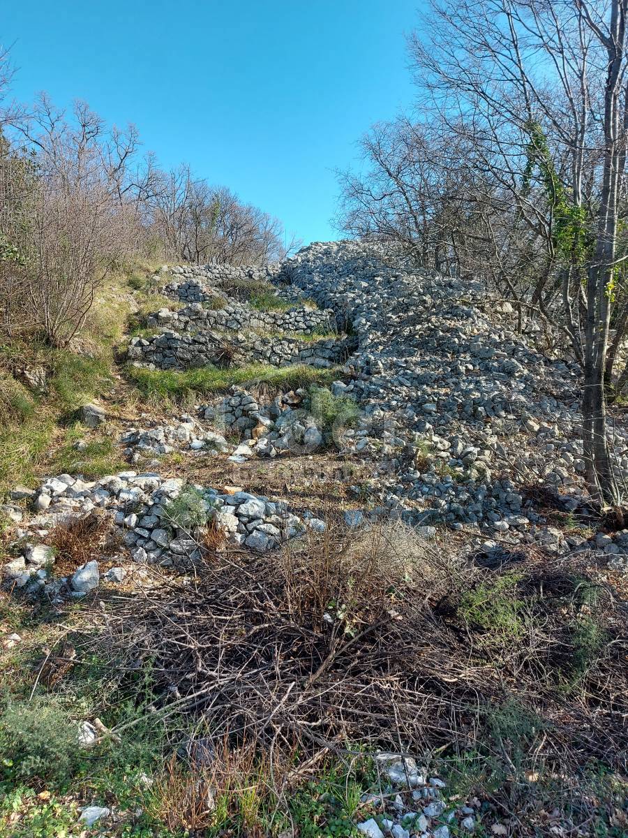 PLEŠIĆI