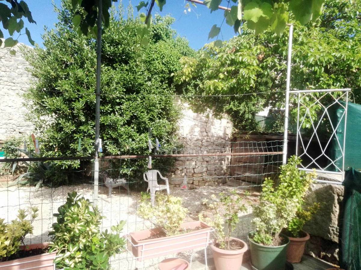 BRTONIGLA
