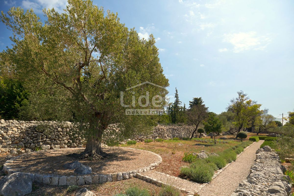 image 38