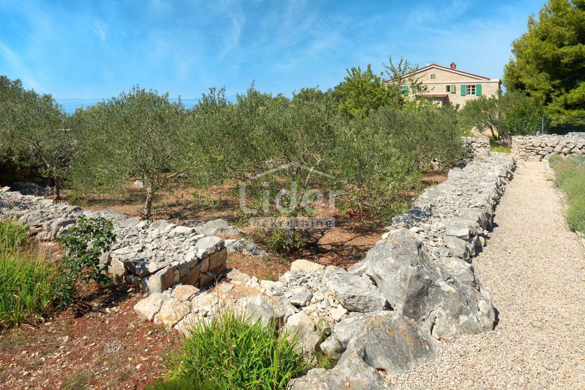image 41