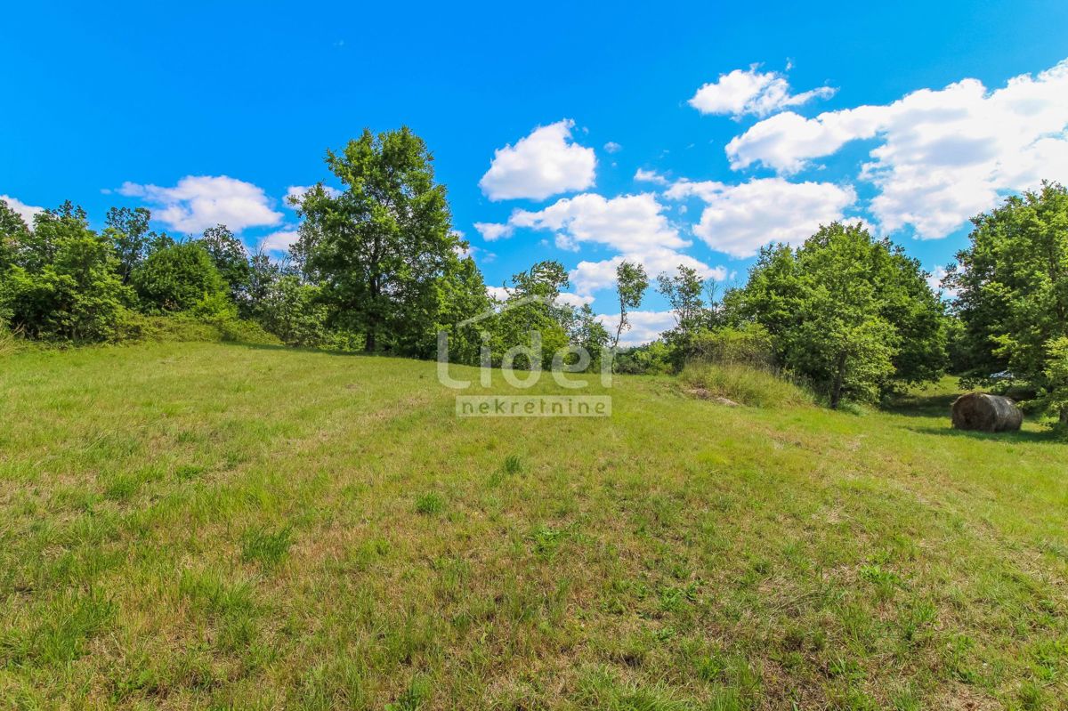 ŠTERNA