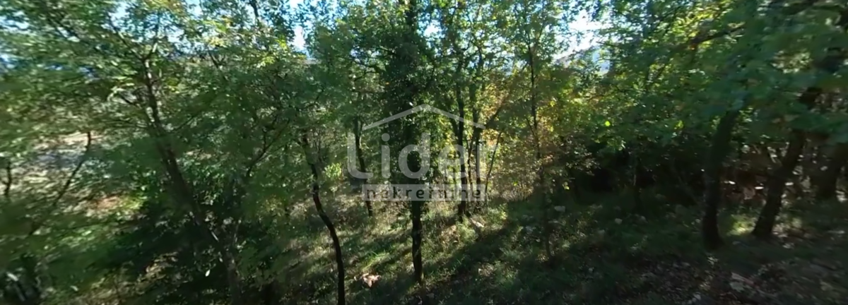 BRSEČ