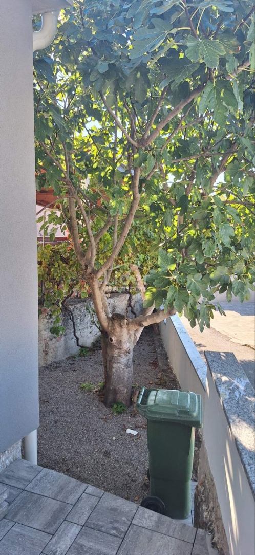 JADRANOVO-atraktivna kuća idealna za odmor – 3
