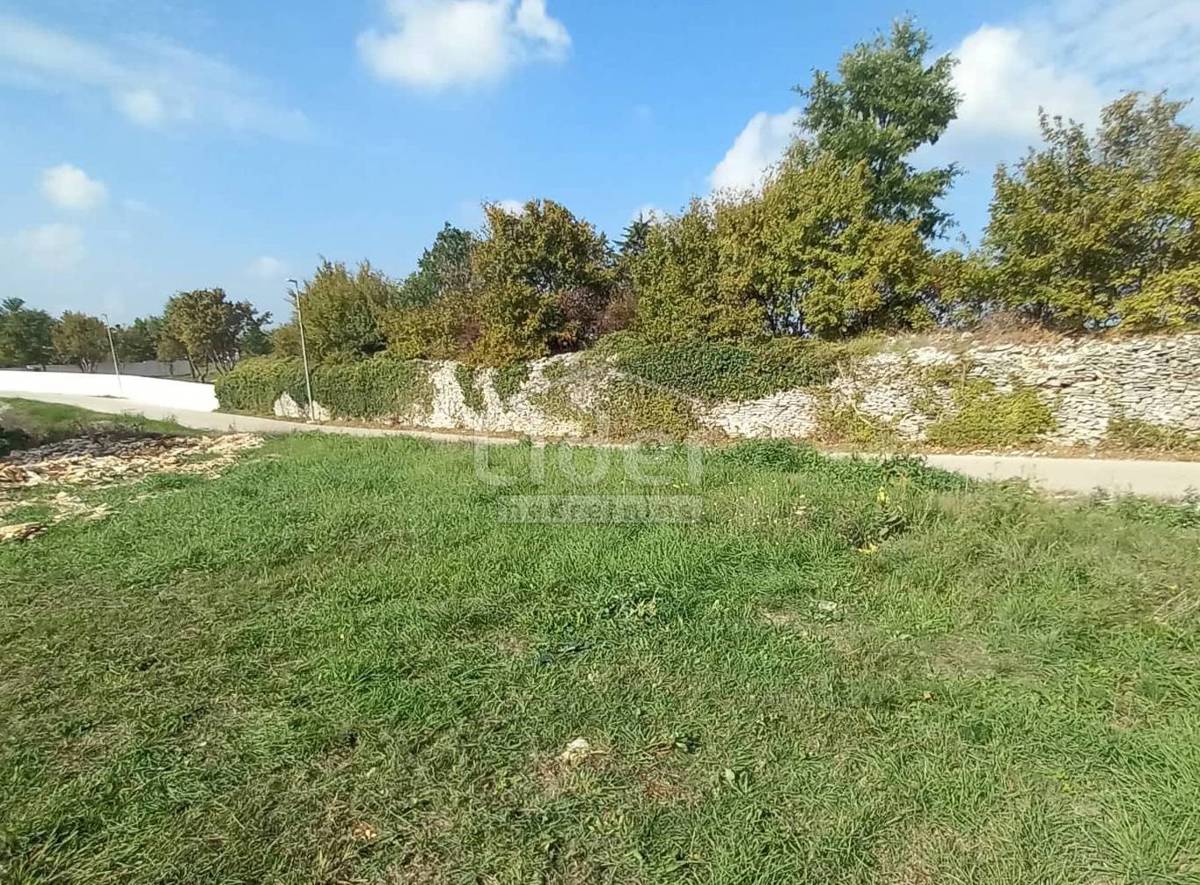 MARIĆI