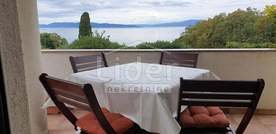 PLEŠIĆI