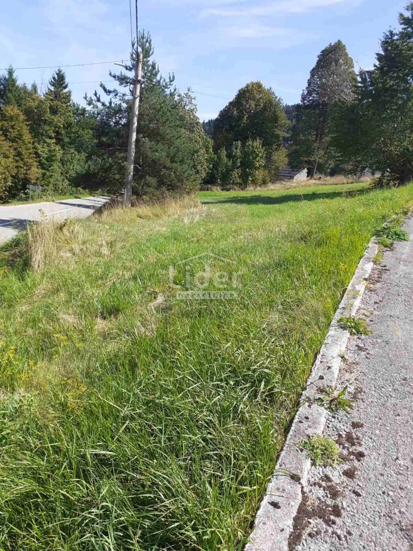 STARA SUŠICA