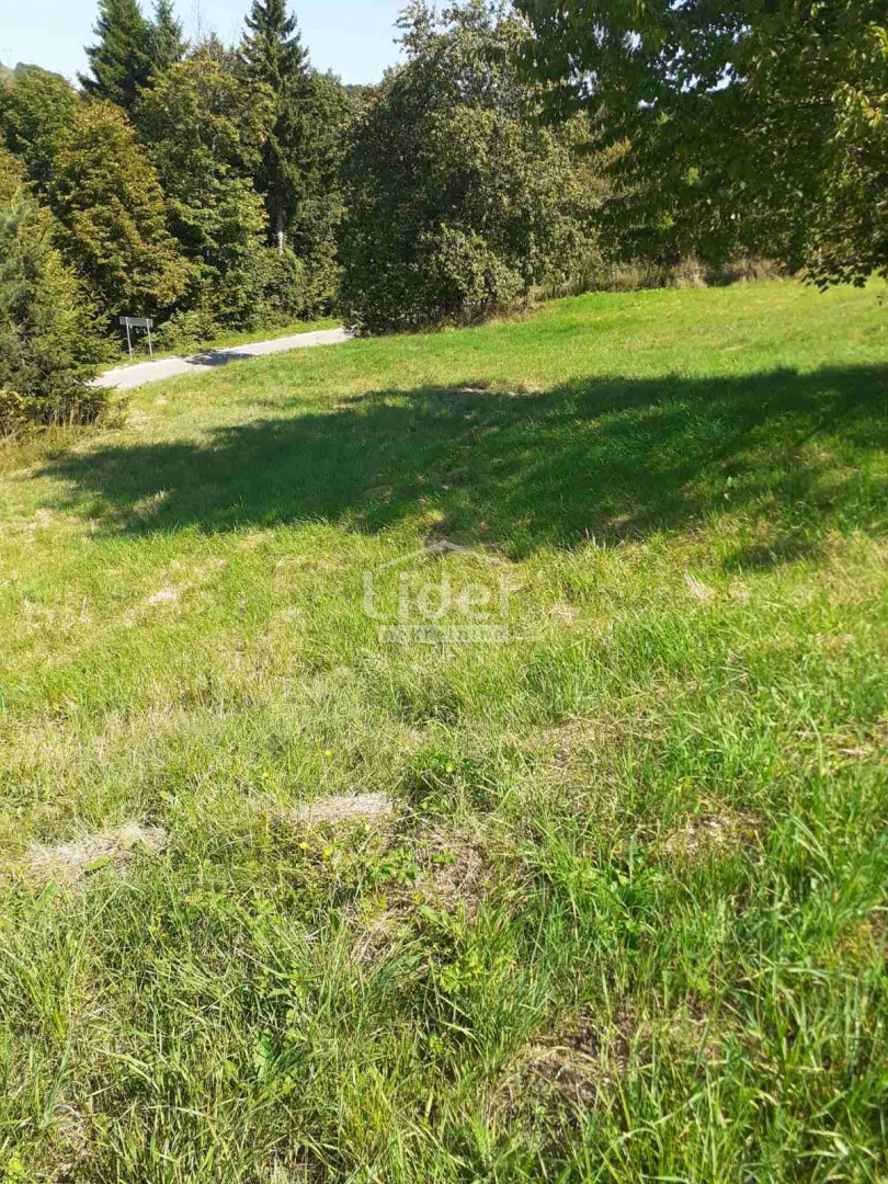 STARA SUŠICA