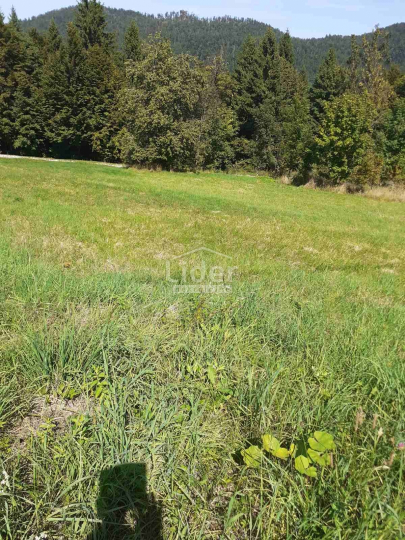 STARA SUŠICA