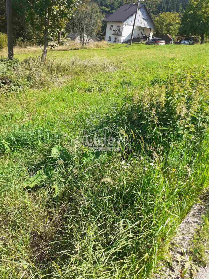 STARA SUŠICA