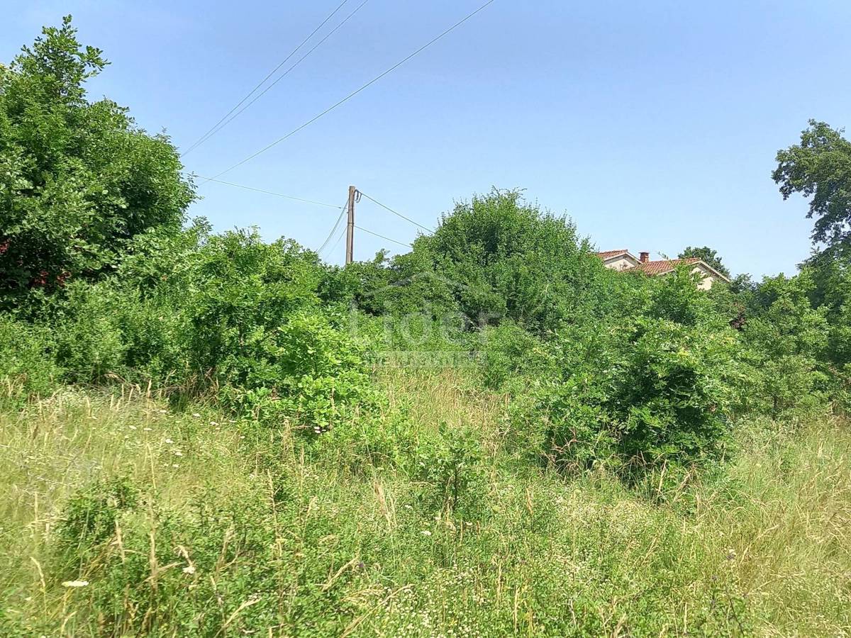 REŽANCI