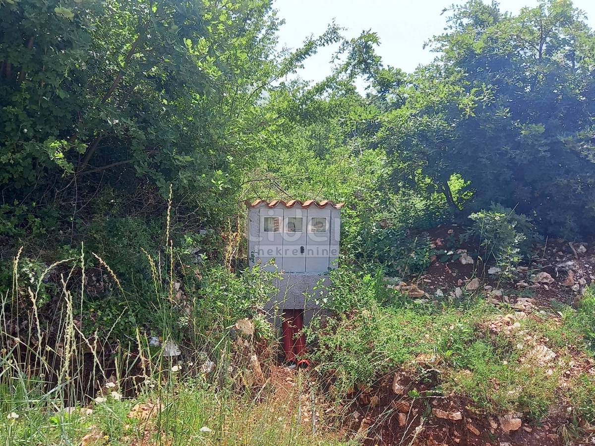 REŽANCI