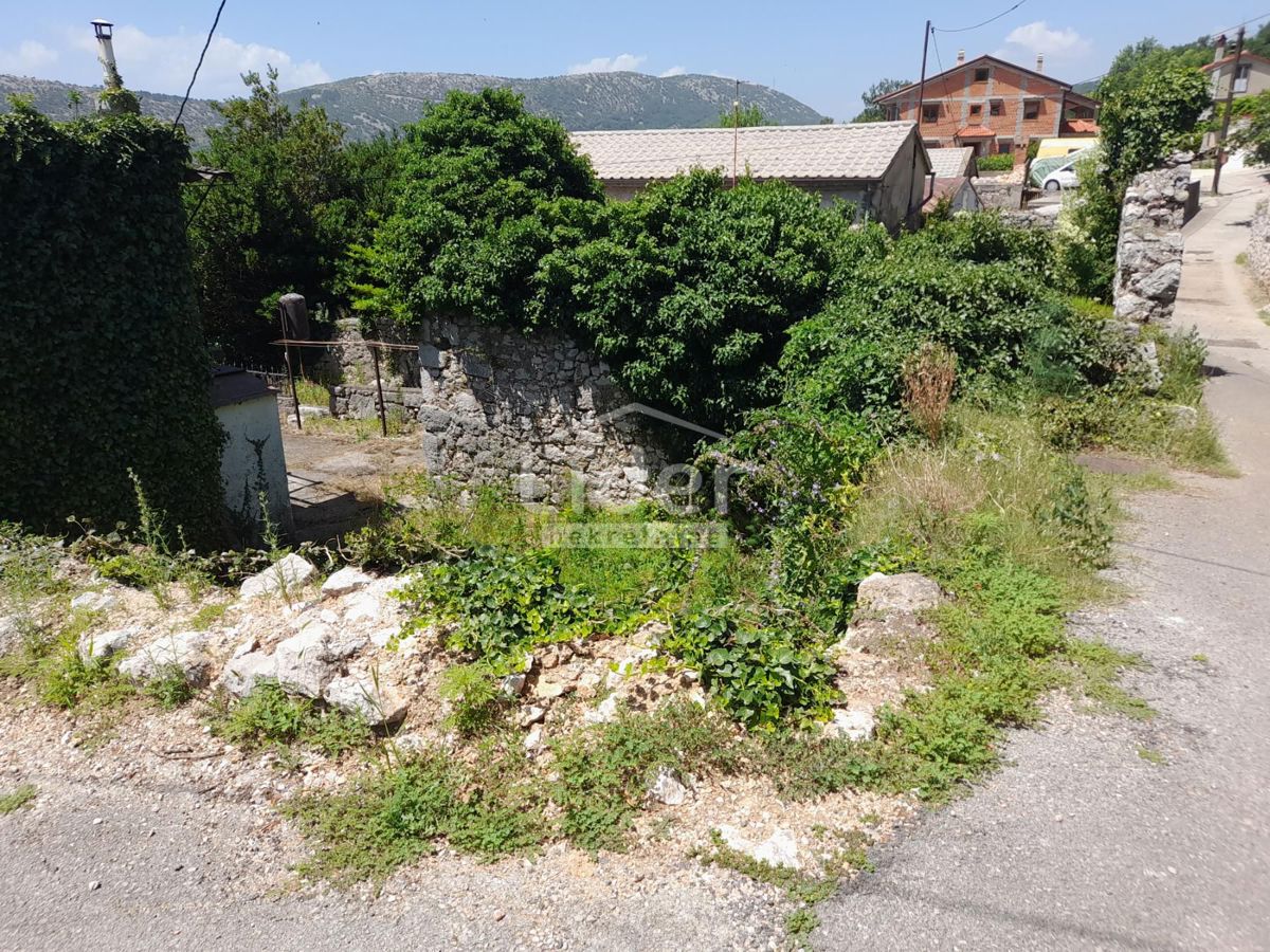BRIBIR