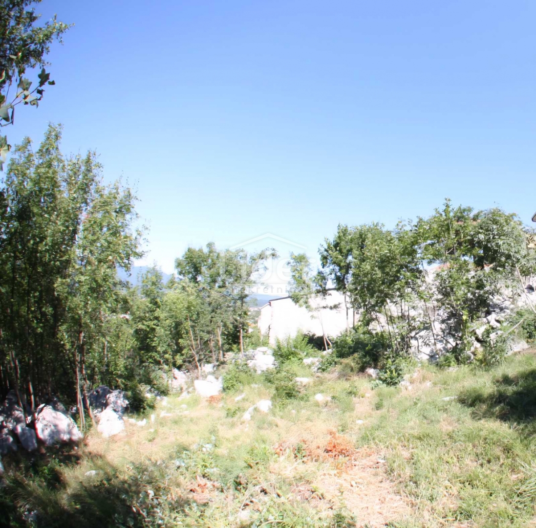 SARŠONI