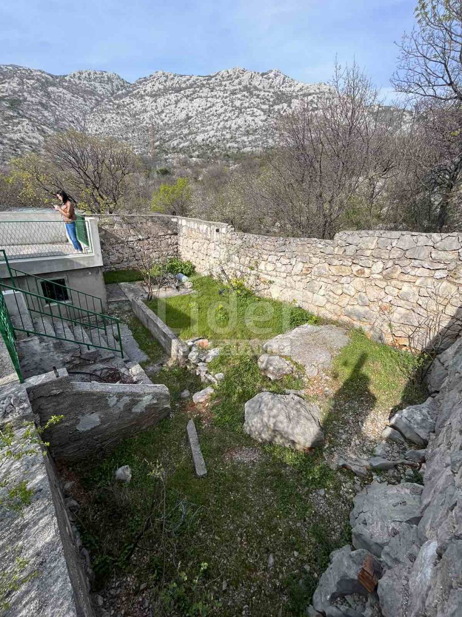 image 28