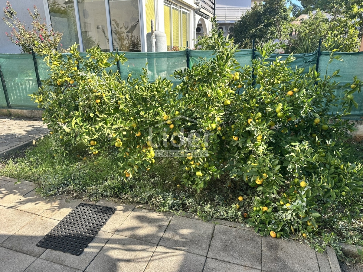 image 28