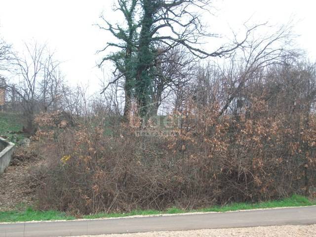GROBNIK